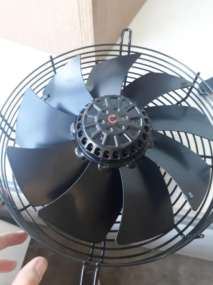 WhatsApp Image 2019-08-19 at 10.17.16