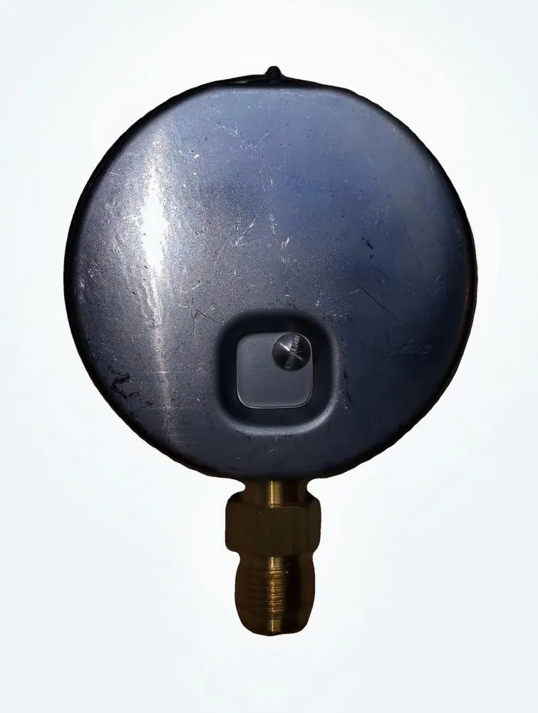 Манометр DN.100 RAD 120 1000 BAR диам 100мм вид сзади_