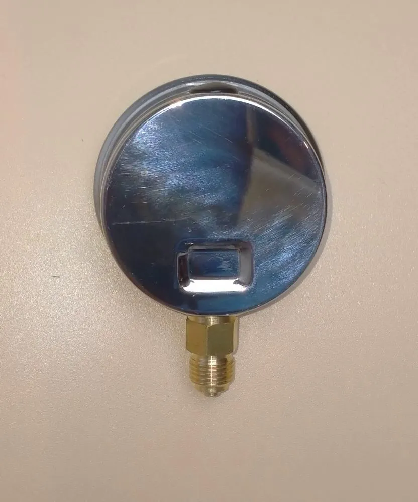 Манометр WKPSS063 25 bar 14BSP M635RL 025 BAR вид сзади_