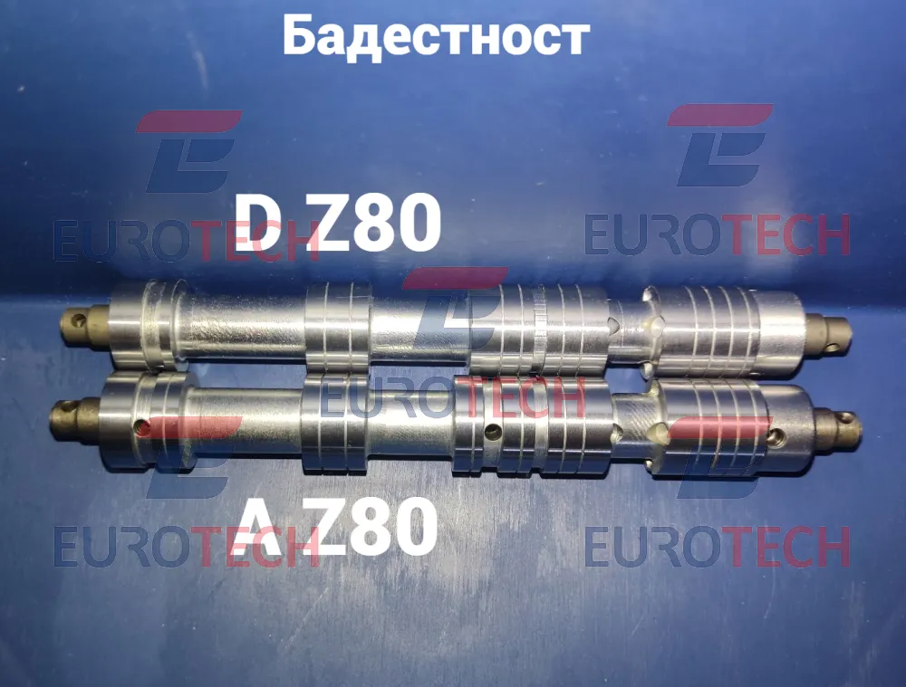 Бадестност A Z80 и D Z80