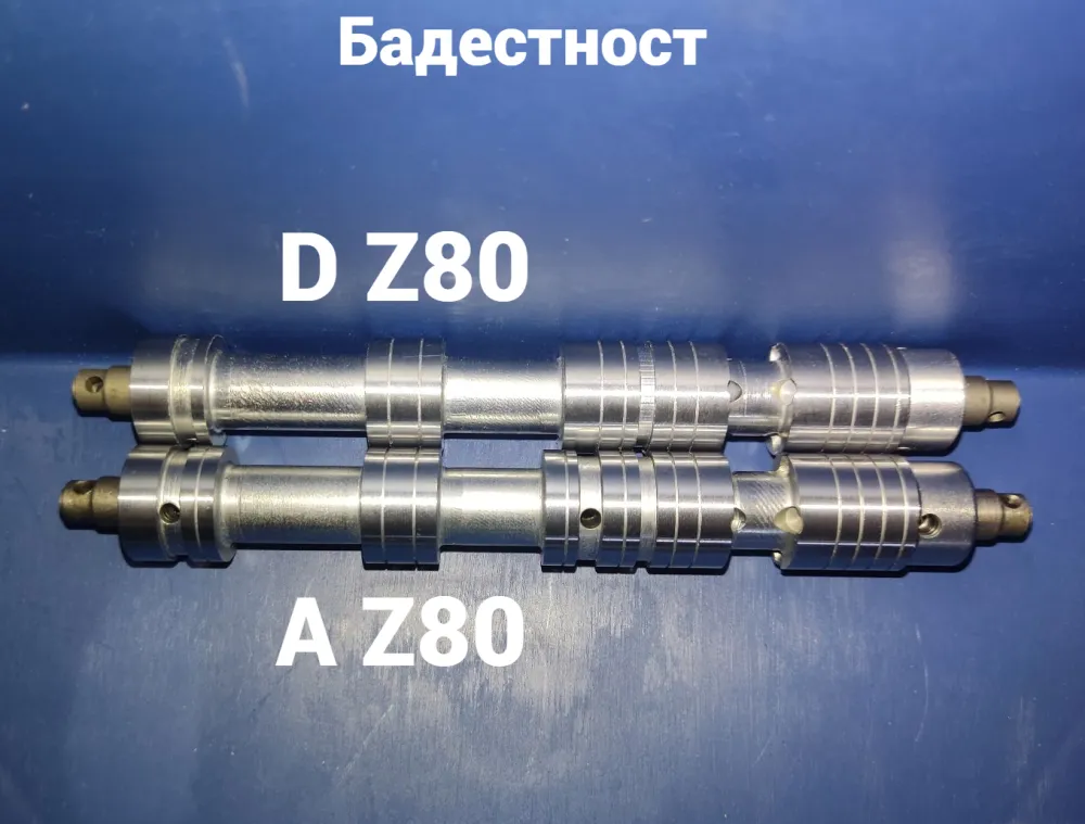 Бадестност A Z80 и D Z80